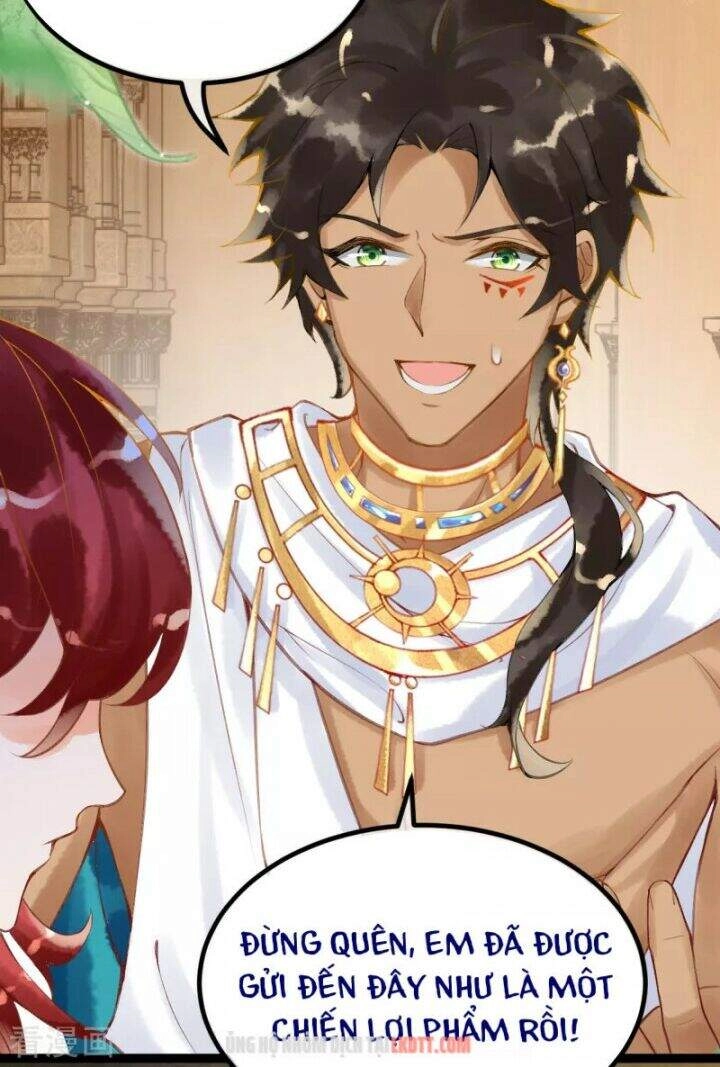 Xuyên Đến Ai Cập : Trở Thành Cô Dâu Của Vương Chapter 7 - 20