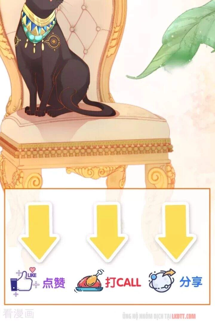 Xuyên Đến Ai Cập : Trở Thành Cô Dâu Của Vương Chapter 9 - 33