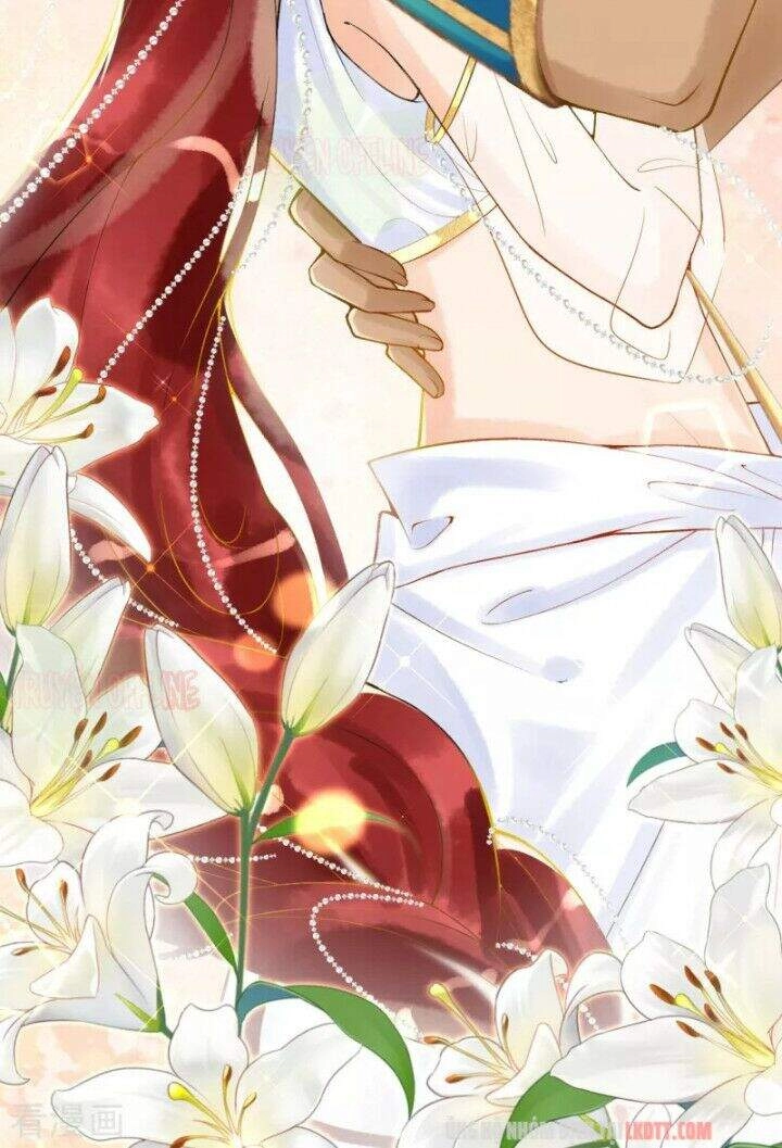 Xuyên Đến Ai Cập : Trở Thành Cô Dâu Của Vương Chapter 10 - 23