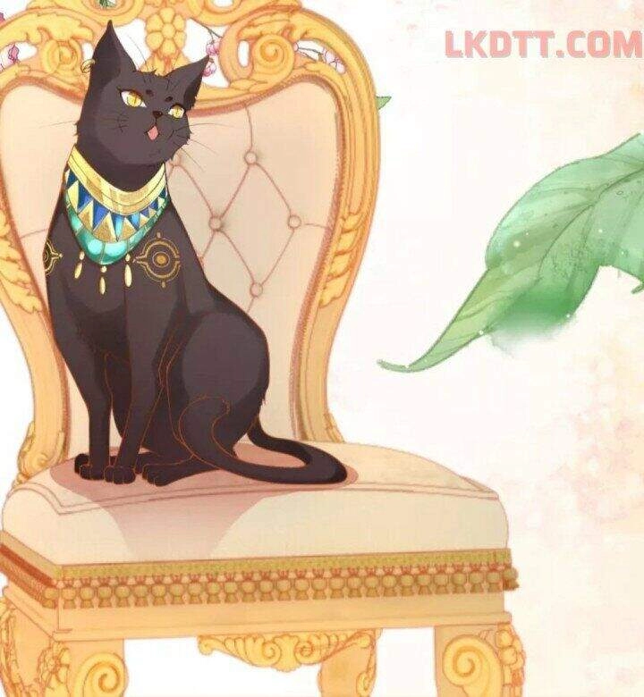 Xuyên Đến Ai Cập : Trở Thành Cô Dâu Của Vương Chapter 12 - 33