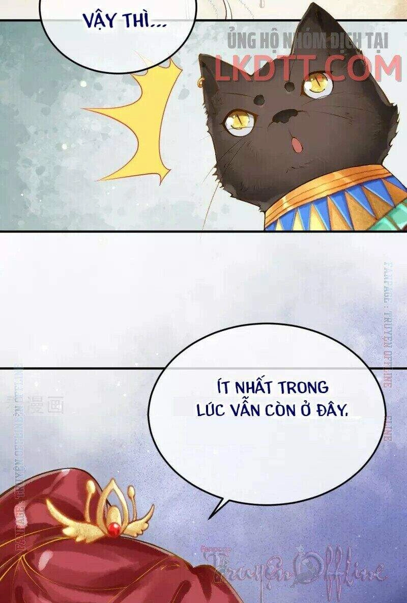 Xuyên Đến Ai Cập : Trở Thành Cô Dâu Của Vương Chapter 15 - 8