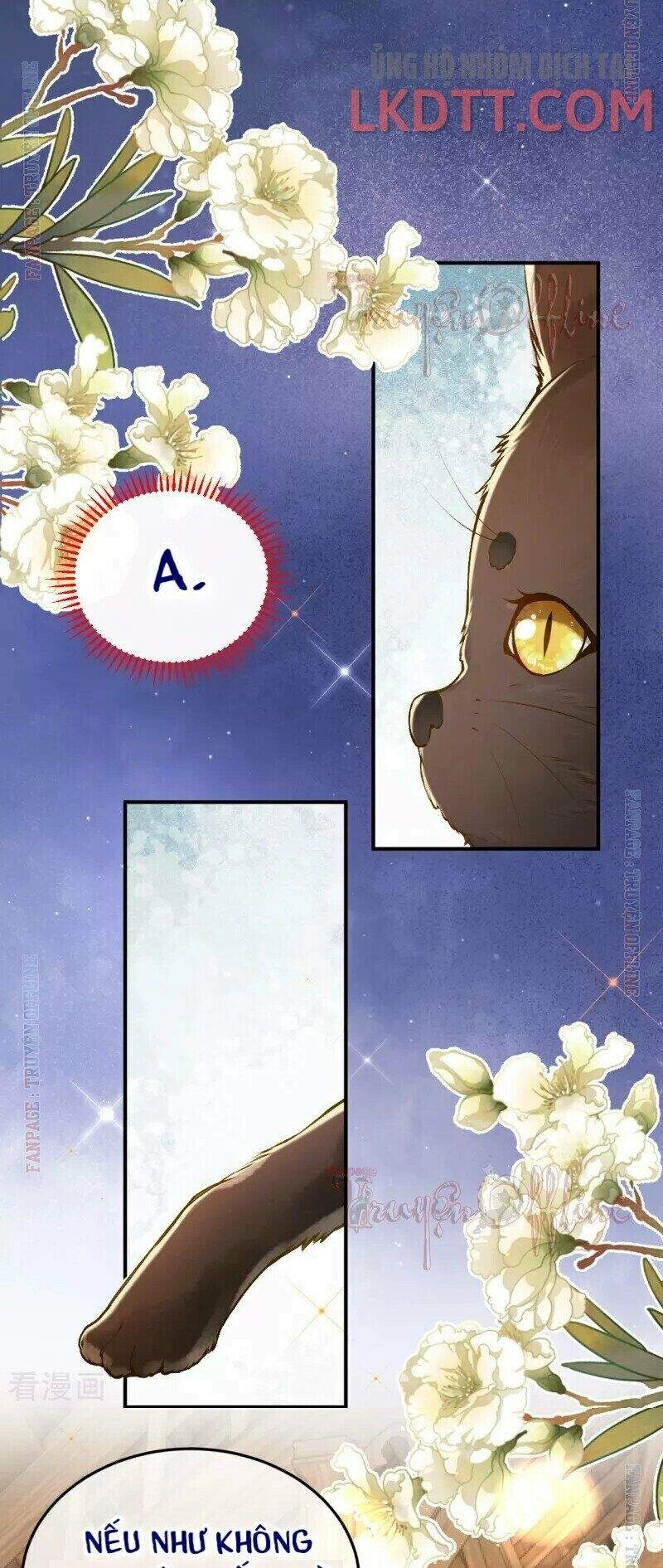 Xuyên Đến Ai Cập : Trở Thành Cô Dâu Của Vương Chapter 15 - 10