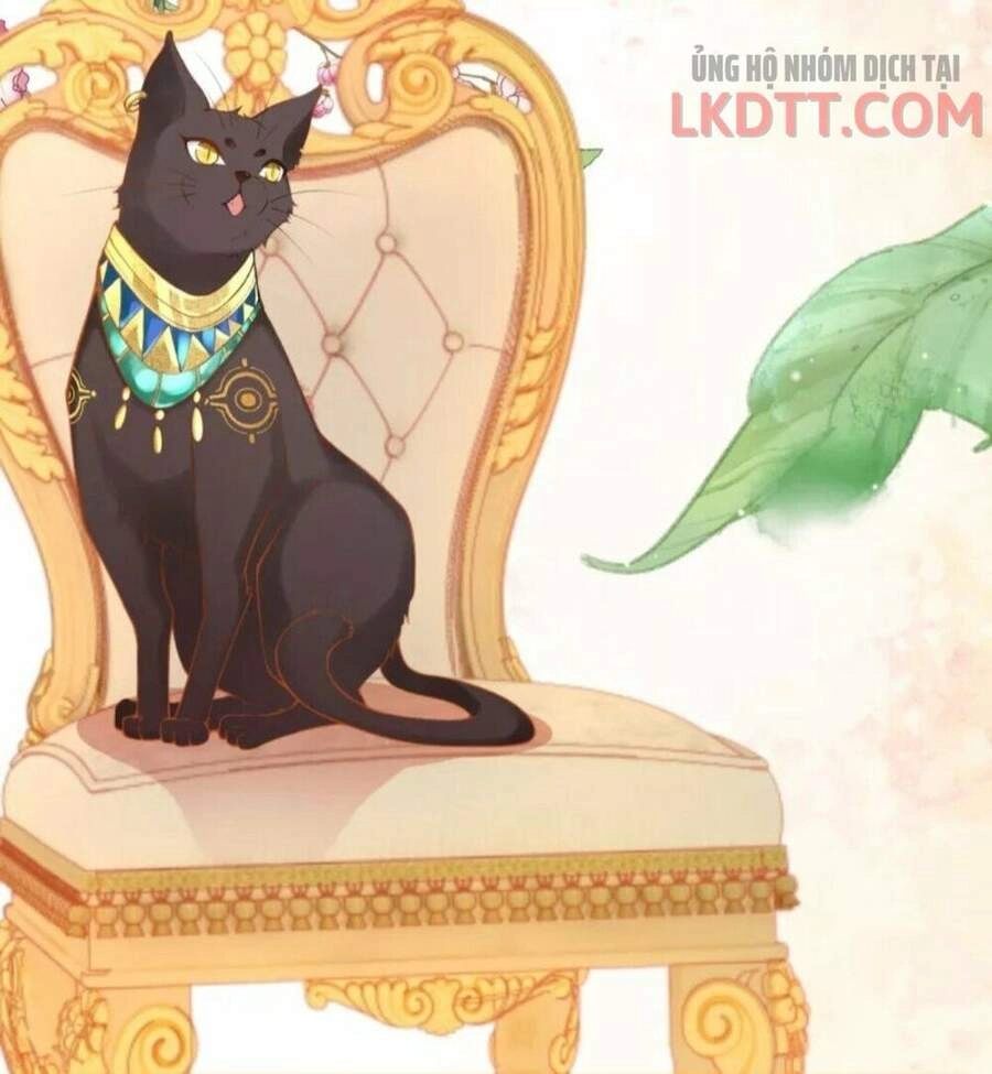 Xuyên Đến Ai Cập : Trở Thành Cô Dâu Của Vương Chapter 15 - 39