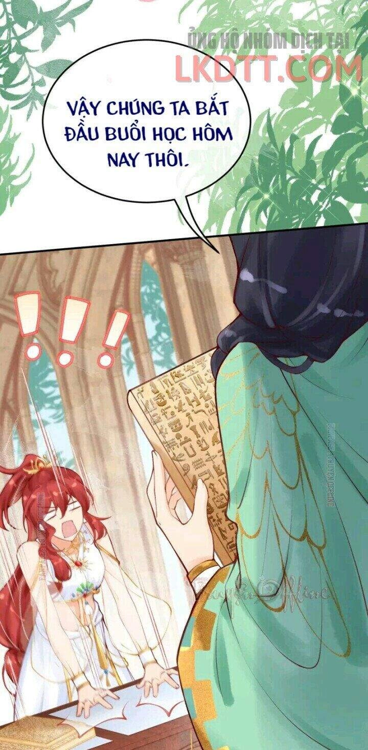 Xuyên Đến Ai Cập : Trở Thành Cô Dâu Của Vương Chapter 21 - 27