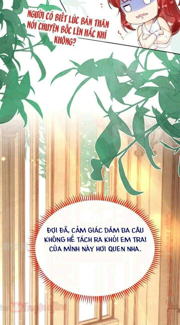 Xuyên Đến Ai Cập : Trở Thành Cô Dâu Của Vương Chapter 22 - 5