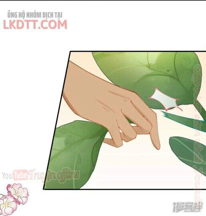 Xuyên Đến Ai Cập : Trở Thành Cô Dâu Của Vương Chapter 24 - 23