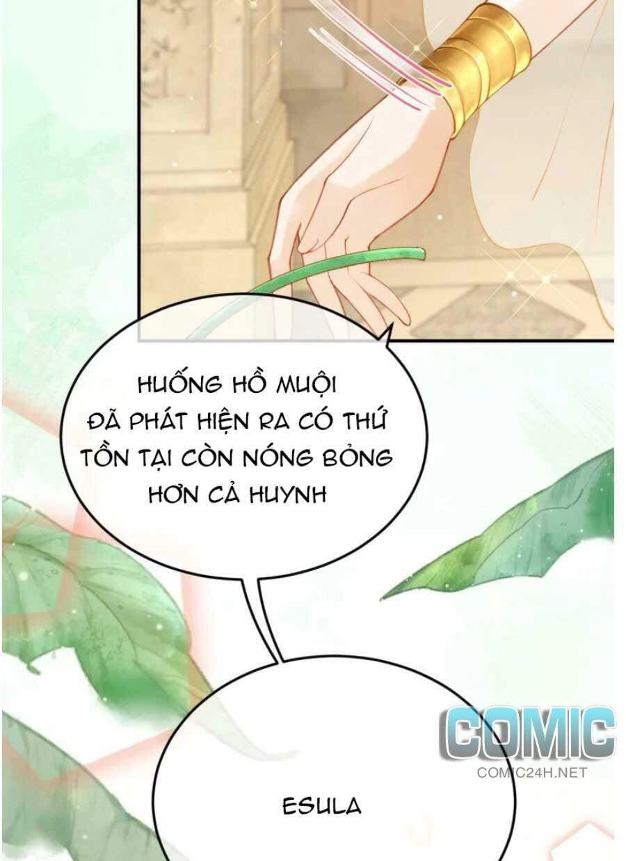 Xuyên Đến Ai Cập : Trở Thành Cô Dâu Của Vương Chapter 26 - 14