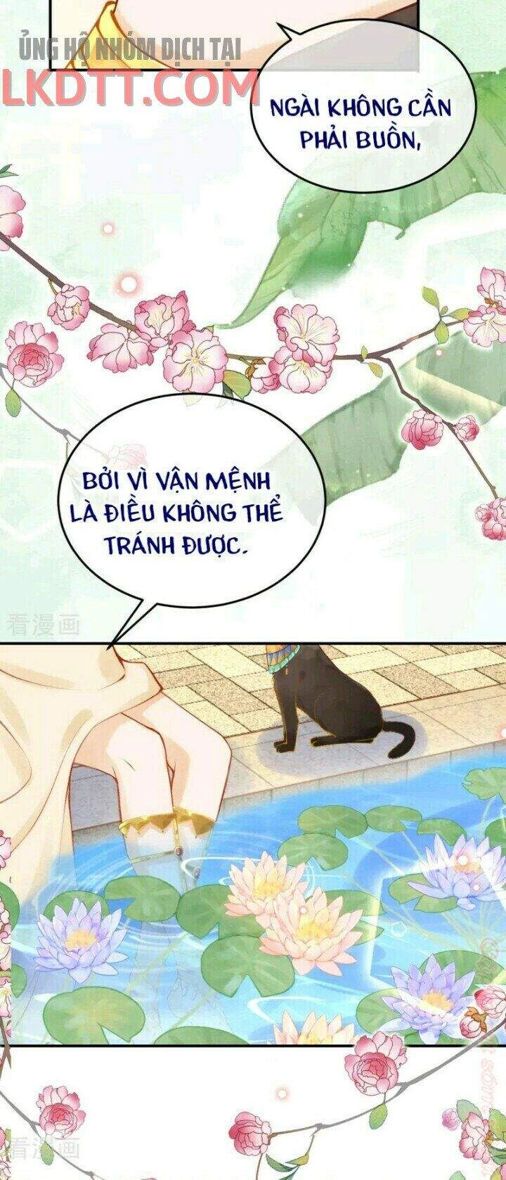 Xuyên Đến Ai Cập : Trở Thành Cô Dâu Của Vương Chapter 27 - 23