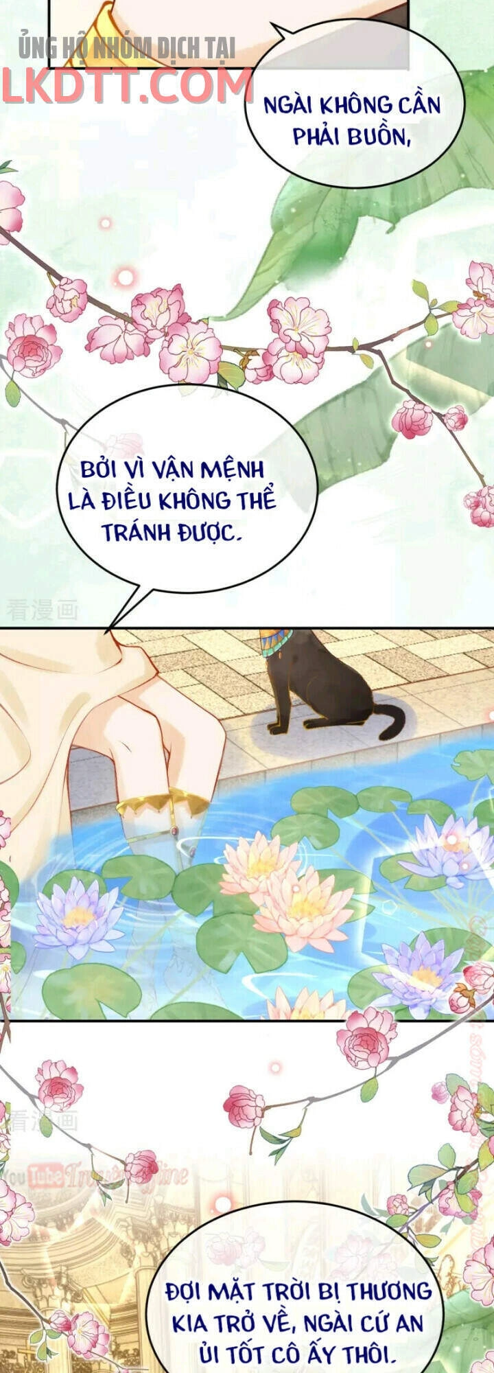 Xuyên Đến Ai Cập : Trở Thành Cô Dâu Của Vương Chapter 28.1 - 16