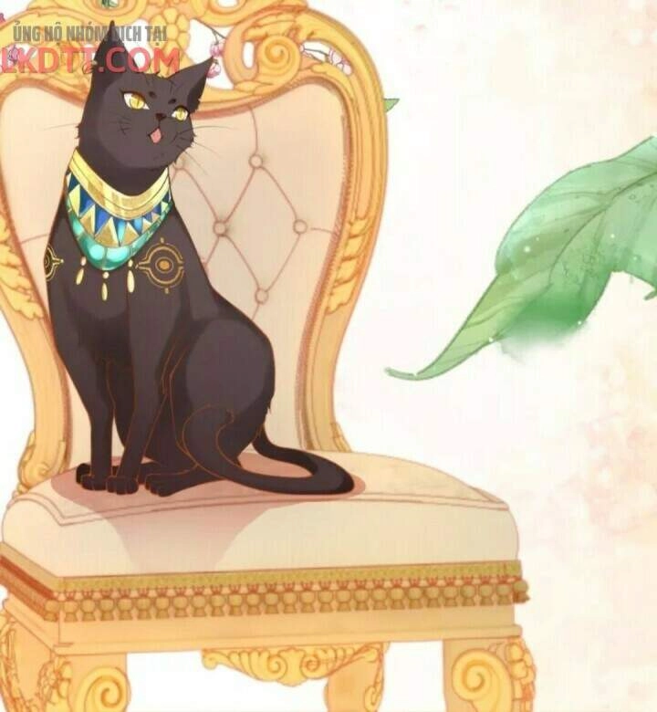 Xuyên Đến Ai Cập : Trở Thành Cô Dâu Của Vương Chapter 28.1 - 25