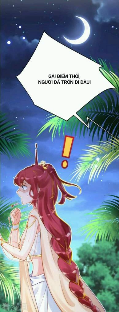 Xuyên Đến Ai Cập : Trở Thành Cô Dâu Của Vương Chapter 33 - 24