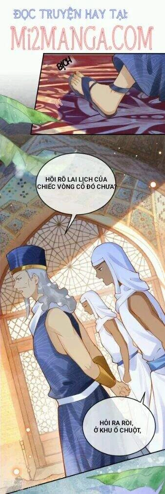 Xuyên Đến Ai Cập : Trở Thành Cô Dâu Của Vương Chapter 40 - 11