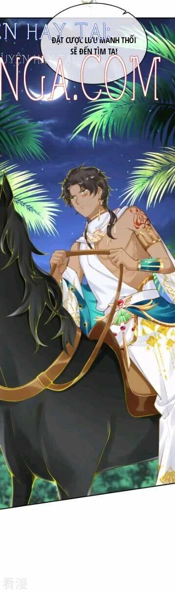 Xuyên Đến Ai Cập : Trở Thành Cô Dâu Của Vương Chapter 43 - 36