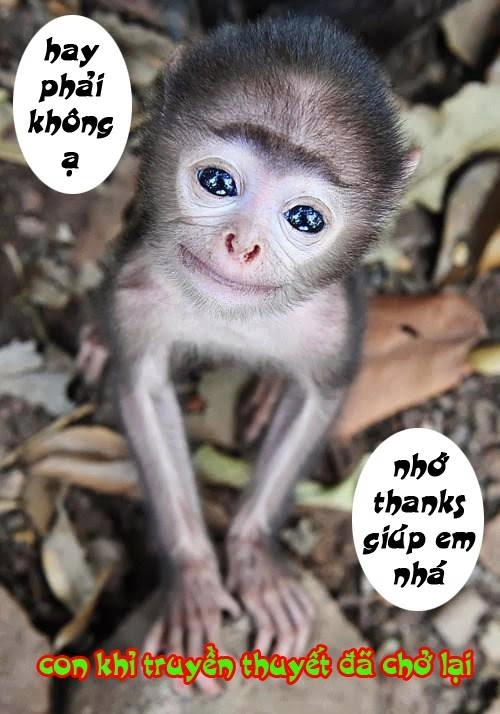 History’s Strongest Disciple Kenichi Chapter 127 - 22