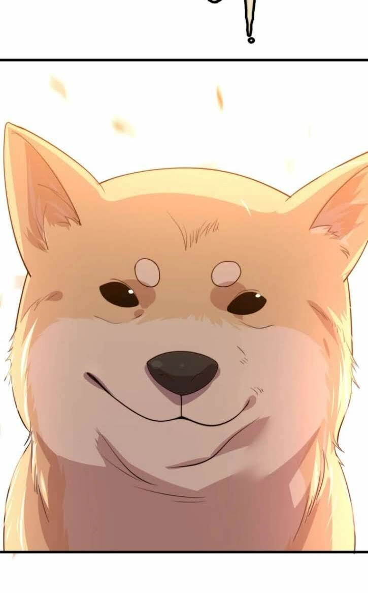 Trọng Sinh Tiểu Y Tiên Chapter 14 - 51