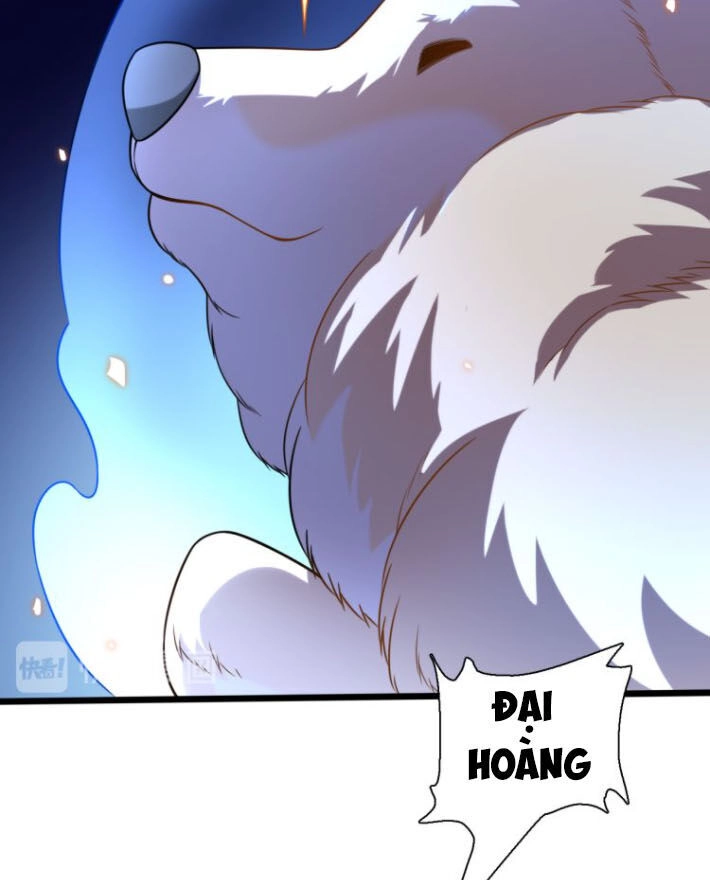 Trọng Sinh Tiểu Y Tiên Chapter 66 - 5