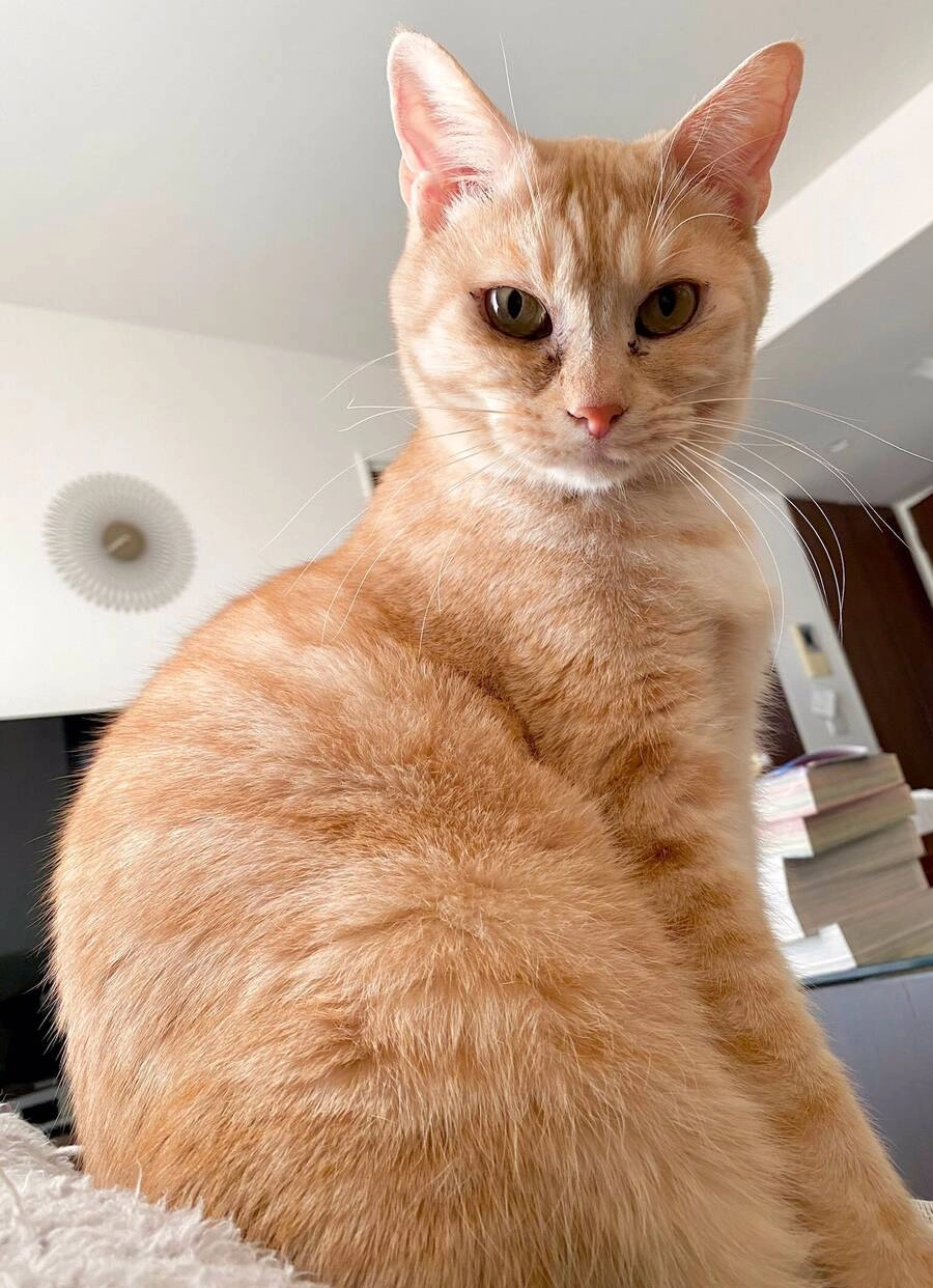 Boku No Kokoro Yabai Yatsu Chapter 40.4 - 4