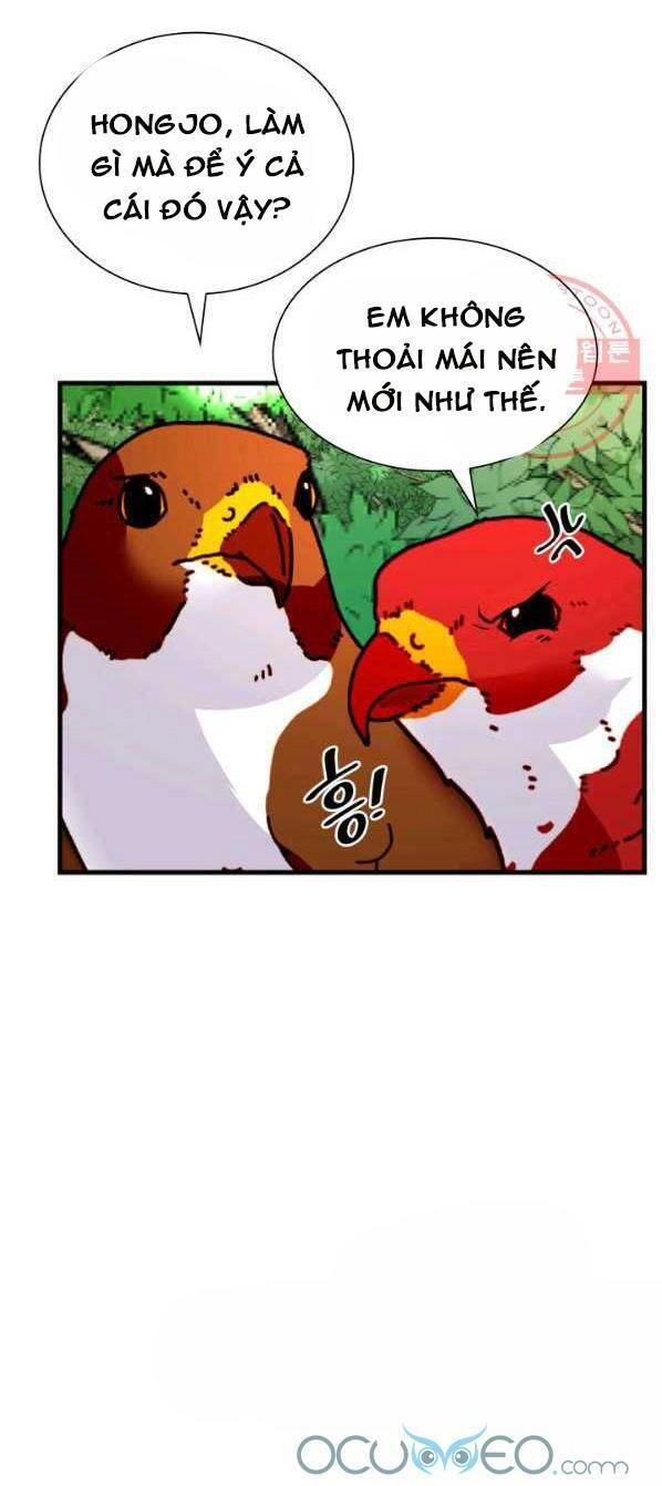 Cô Dâu Của Sói Đen Chapter 14 - 11