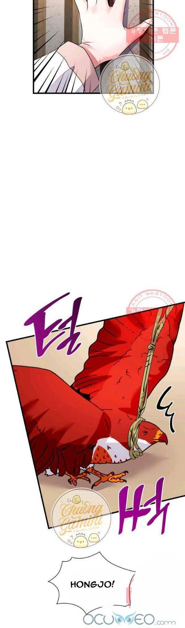 Cô Dâu Của Sói Đen Chapter 14 - 31