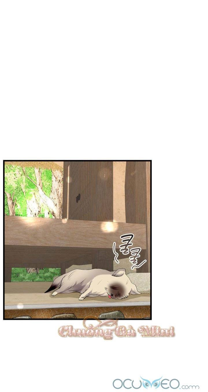 Cô Dâu Của Sói Đen Chapter 19 - 19