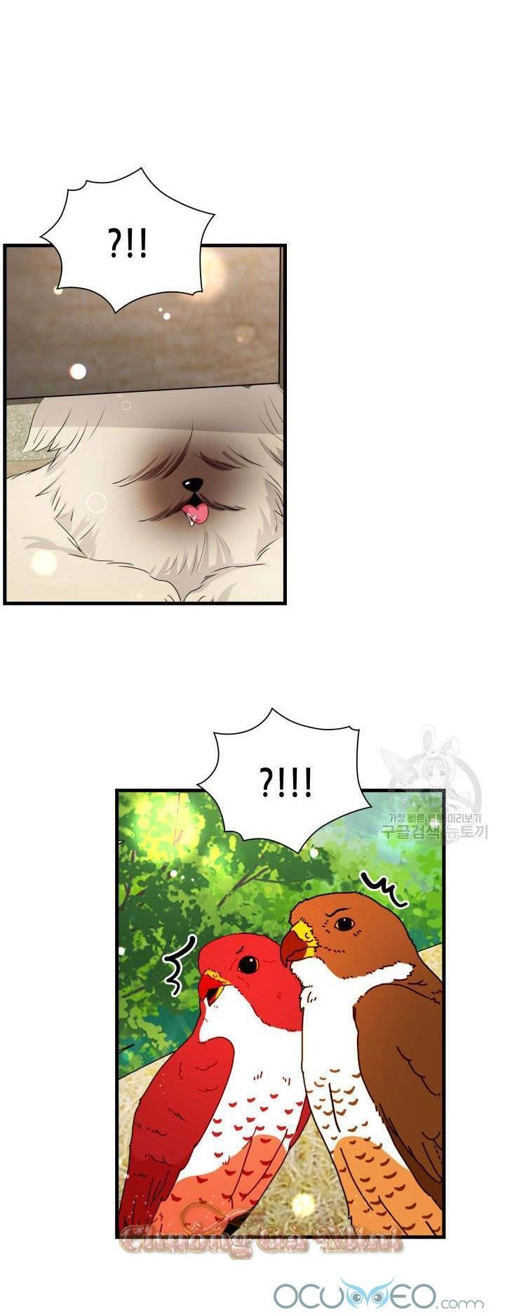 Cô Dâu Của Sói Đen Chapter 19 - 25