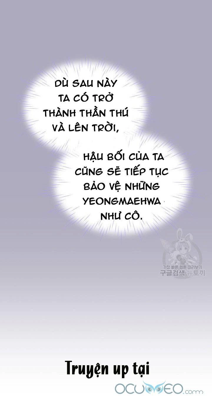 Cô Dâu Của Sói Đen Chapter 19 - 30