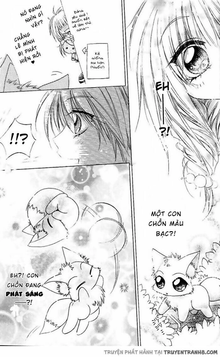 F.o.x Chapter 1 - 8