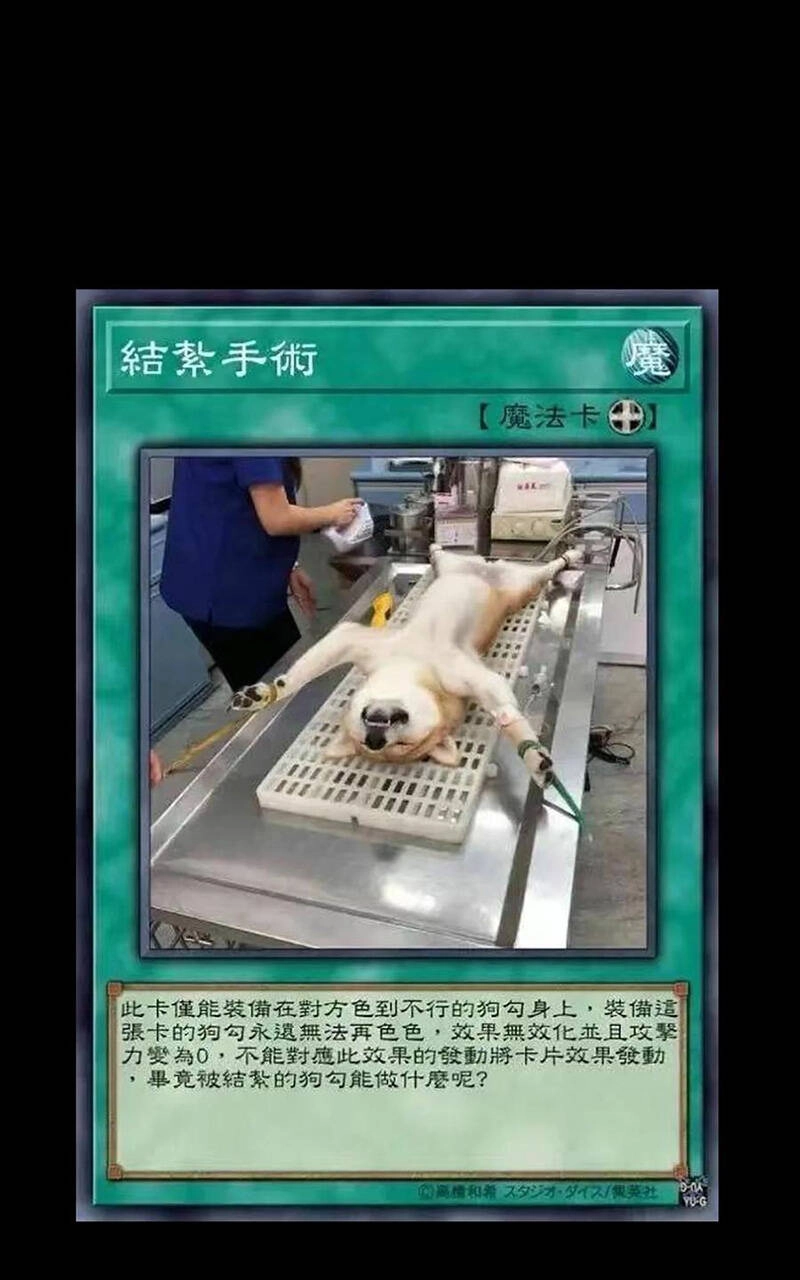 Vú Em Vô Địch Chapter 30 - 69