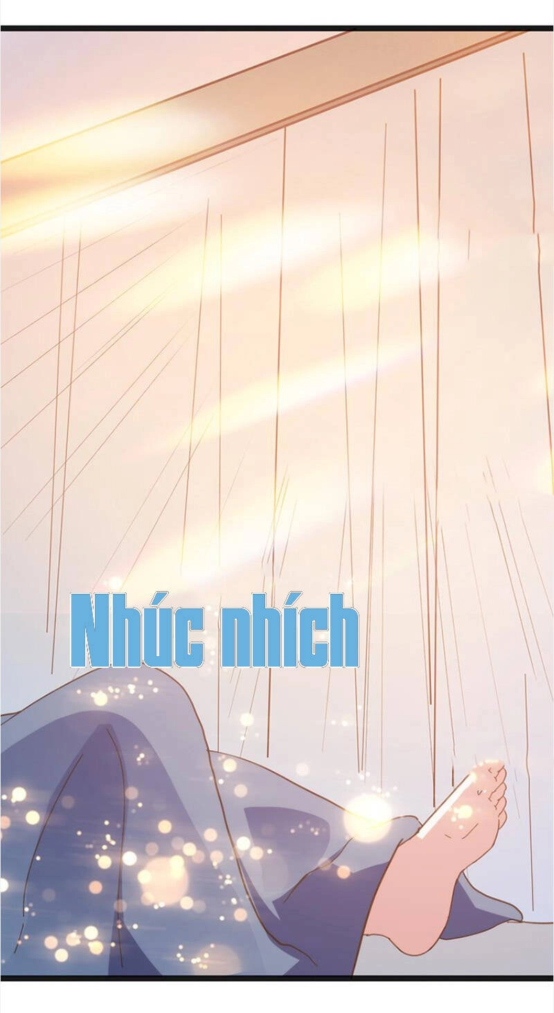 Nữ Tiếp Viên Hàng Không Của Boss Chapter 7 - 13