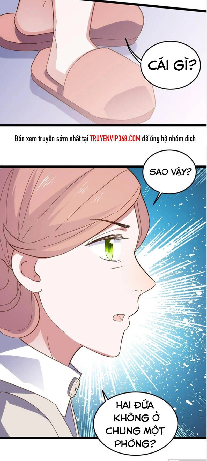 Nữ Tiếp Viên Hàng Không Của Boss Chapter 22 - 5