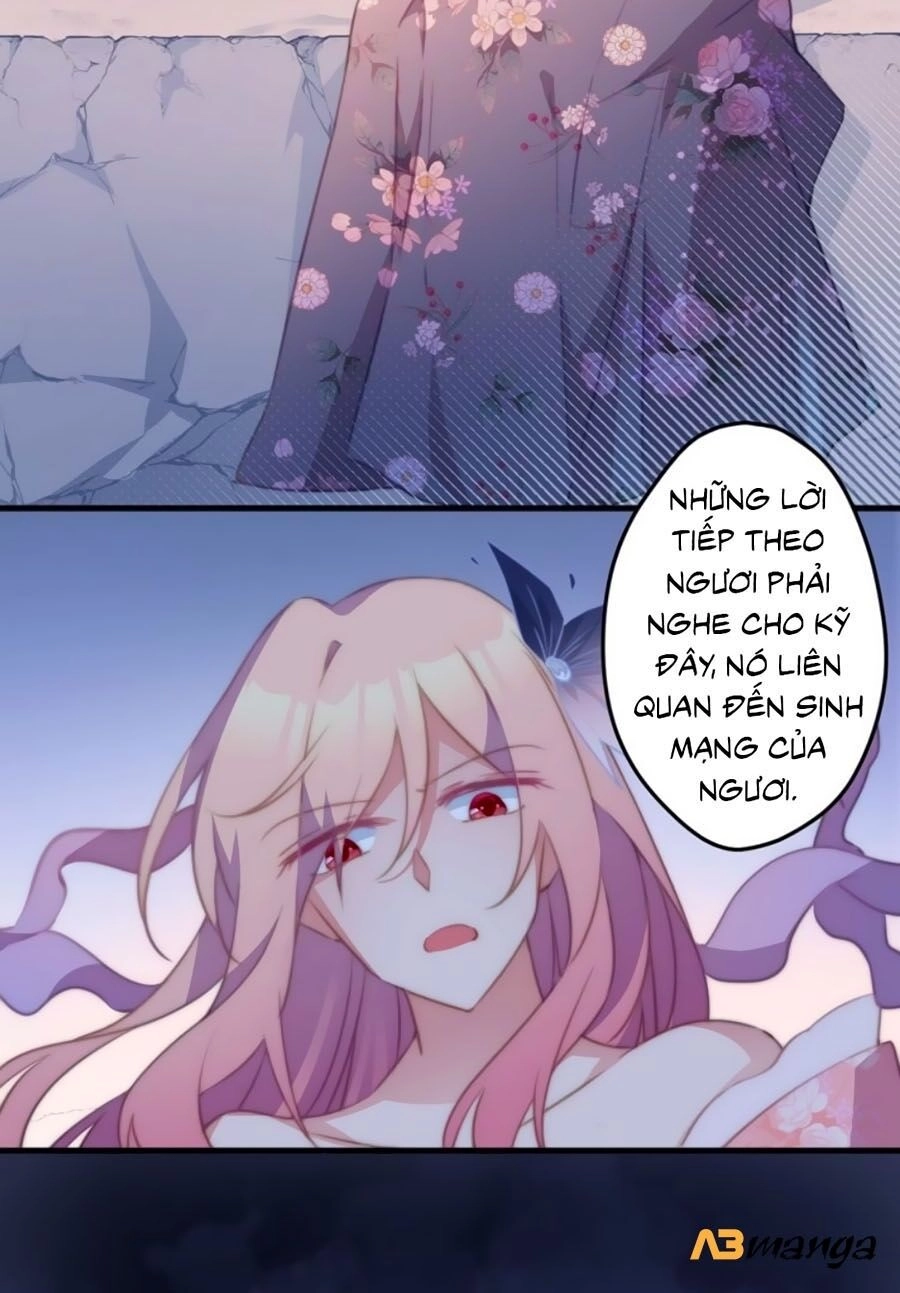 Bạo Sủng Tiểu Manh Phi Chapter 1 - 33