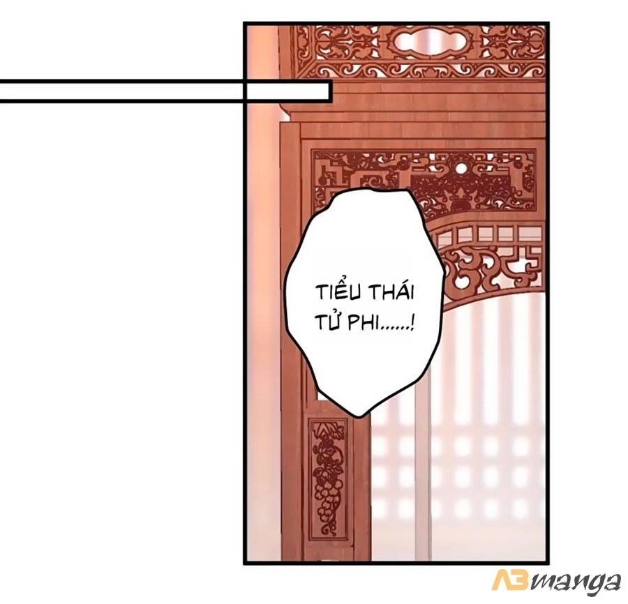 Bạo Sủng Tiểu Manh Phi Chapter 7 - 26