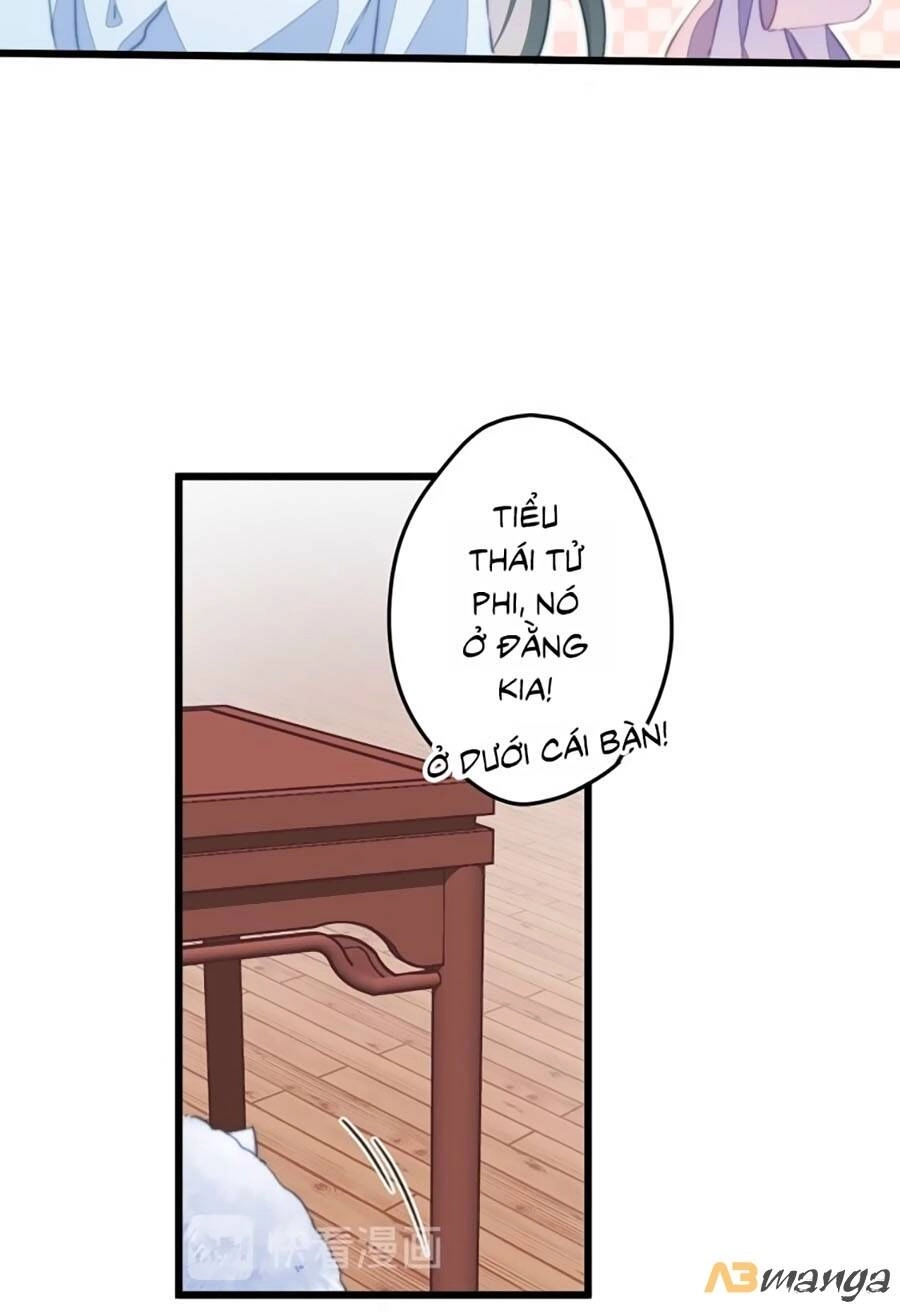 Bạo Sủng Tiểu Manh Phi Chapter 8 - 4