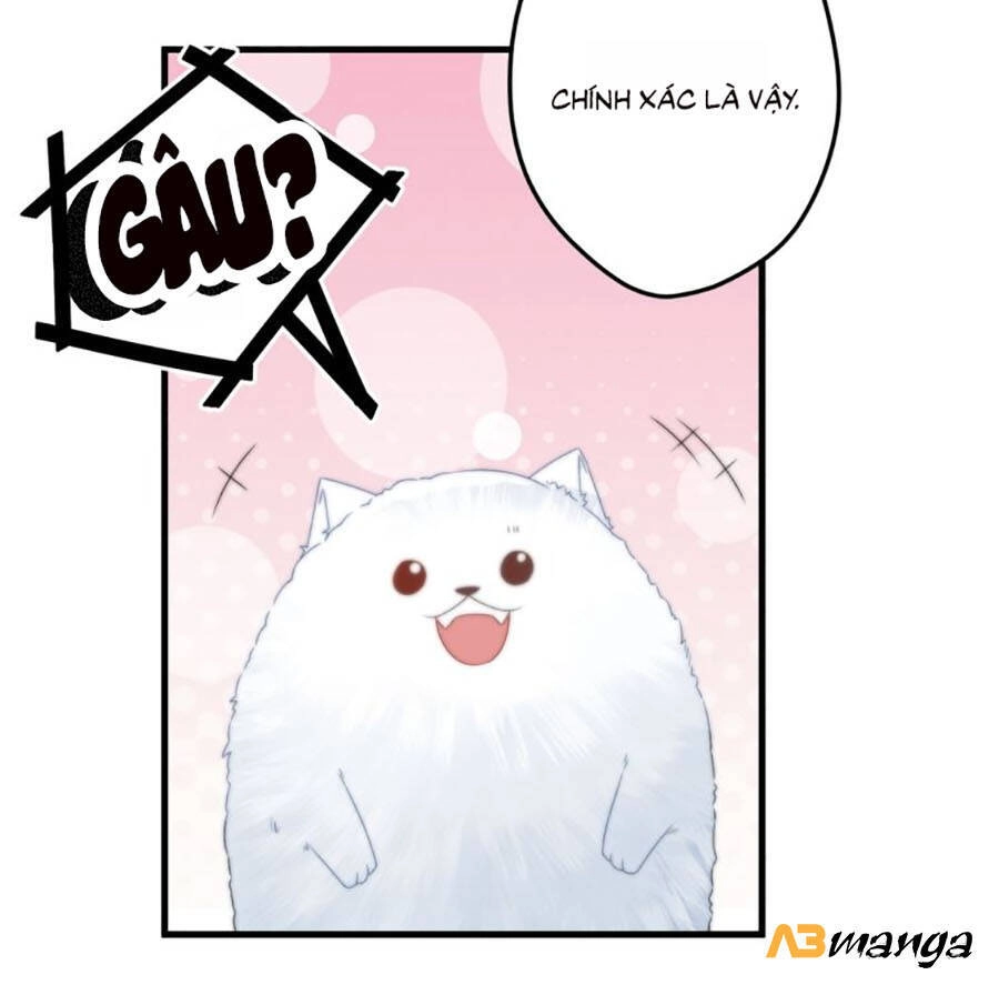 Bạo Sủng Tiểu Manh Phi Chapter 10 - 9