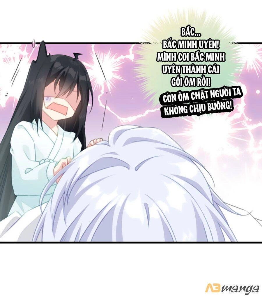 Bạo Sủng Tiểu Manh Phi Chapter 29 - 25