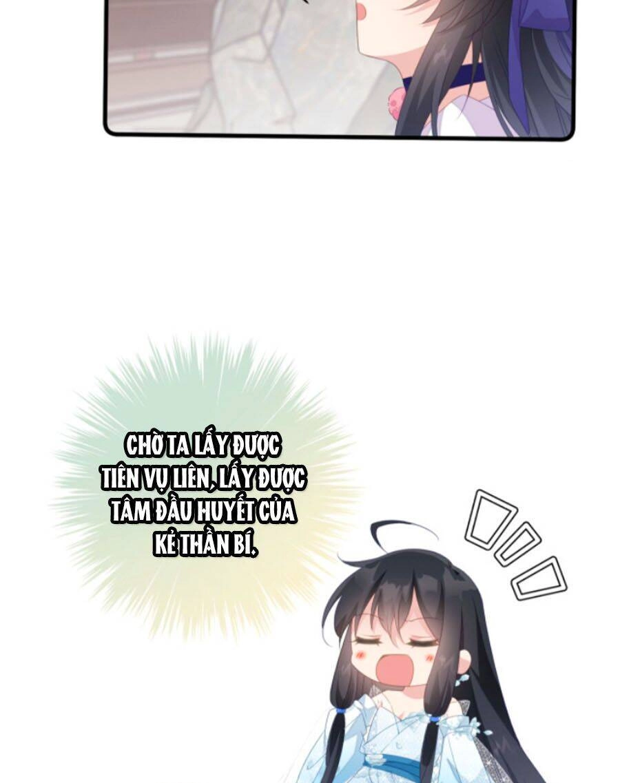 Bạo Sủng Tiểu Manh Phi Chapter 33 - 20