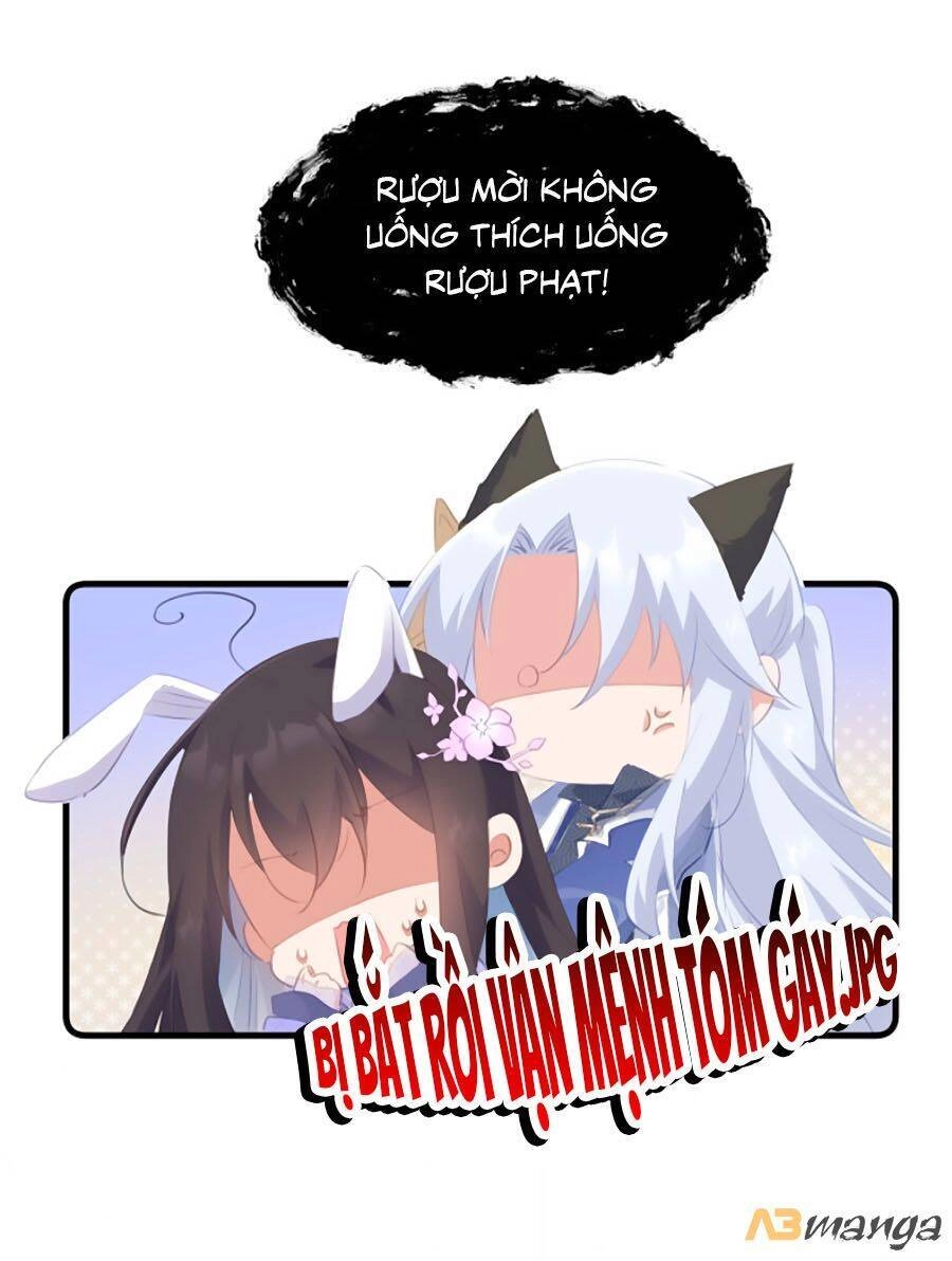 Bạo Sủng Tiểu Manh Phi Chapter 39 - 15