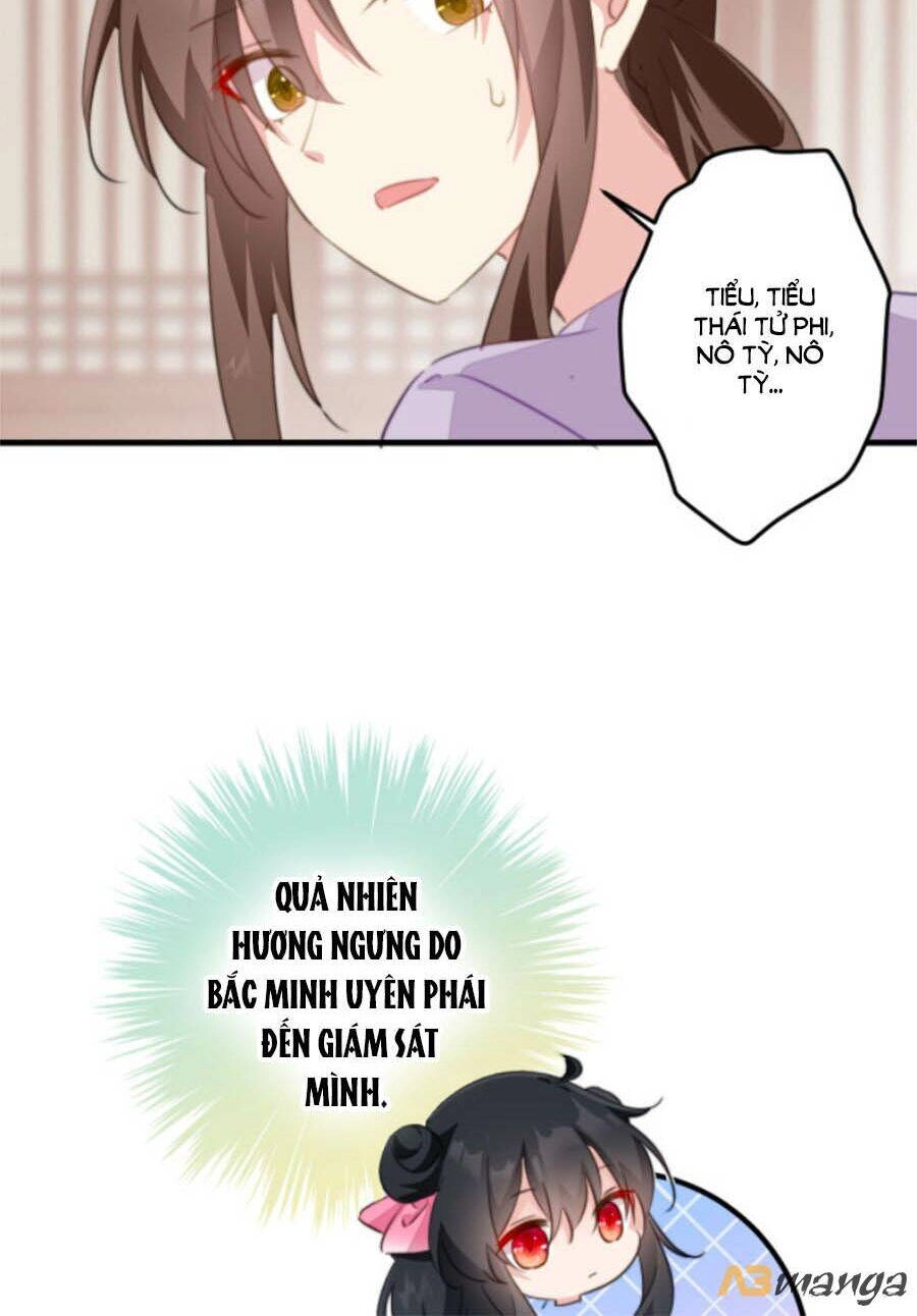 Bạo Sủng Tiểu Manh Phi Chapter 41 - 19