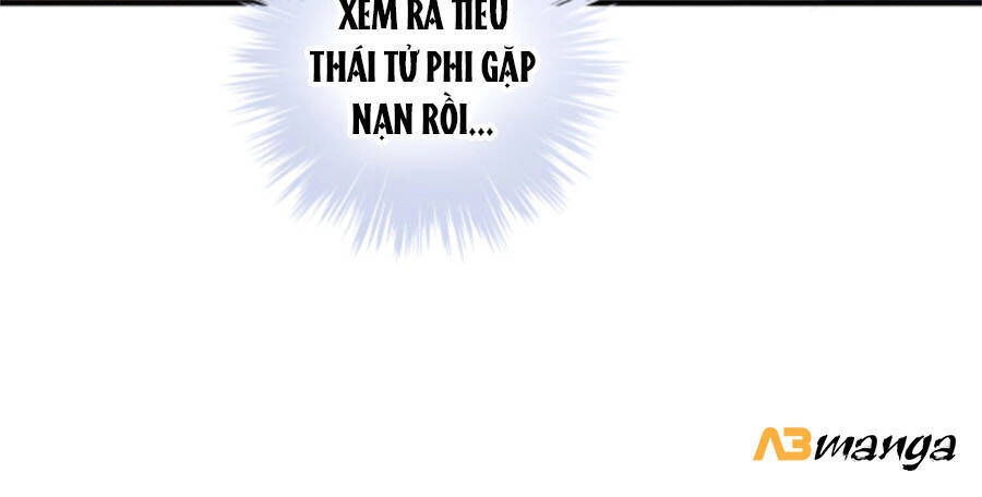 Bạo Sủng Tiểu Manh Phi Chapter 47 - 20