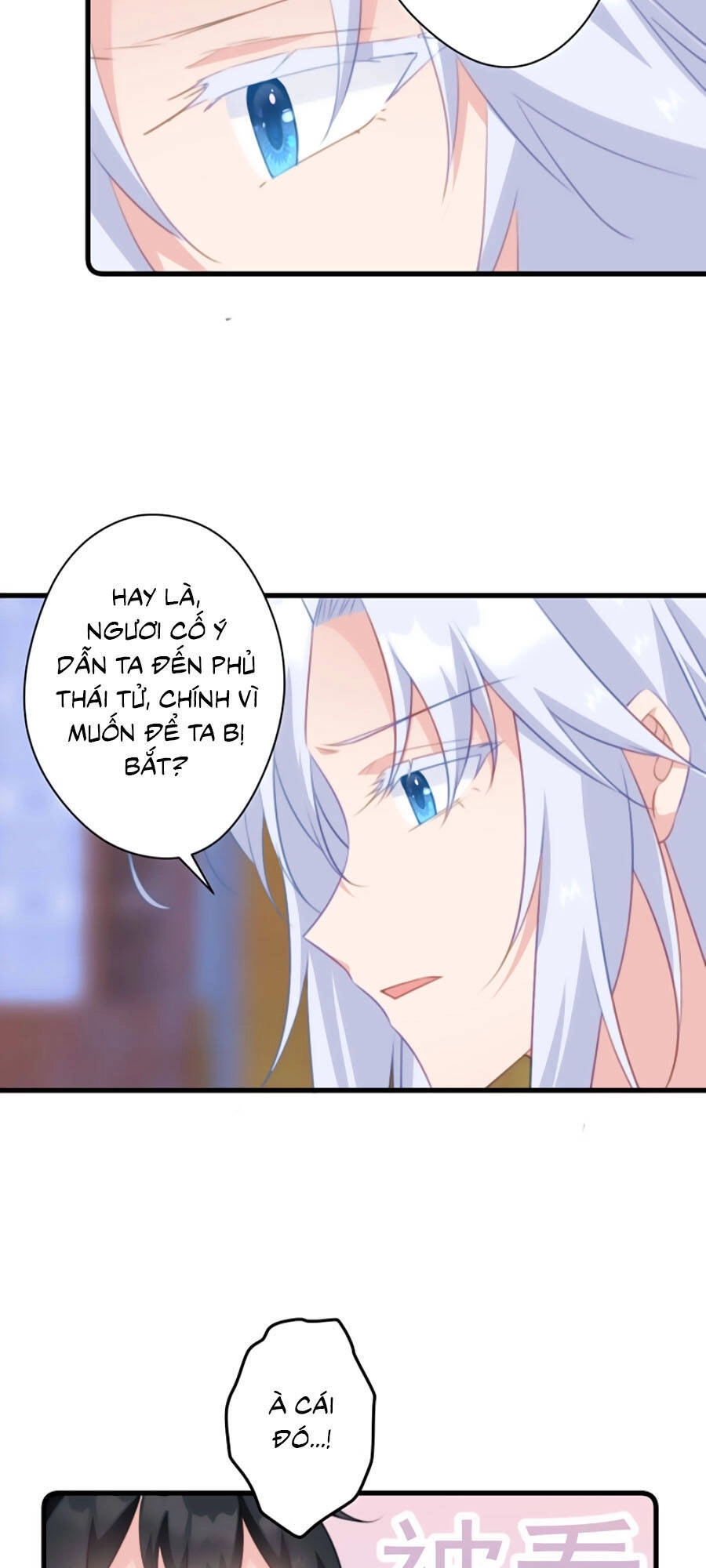 Bạo Sủng Tiểu Manh Phi Chapter 50 - 12