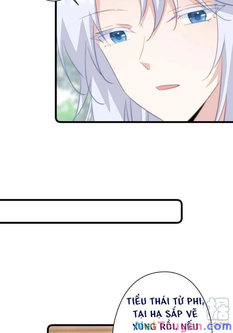 Bạo Sủng Tiểu Manh Phi Chapter 52 - 7