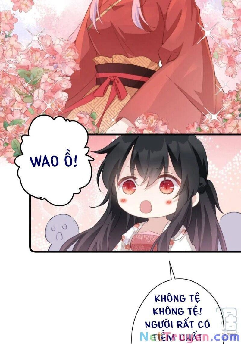 Bạo Sủng Tiểu Manh Phi Chapter 52 - 25