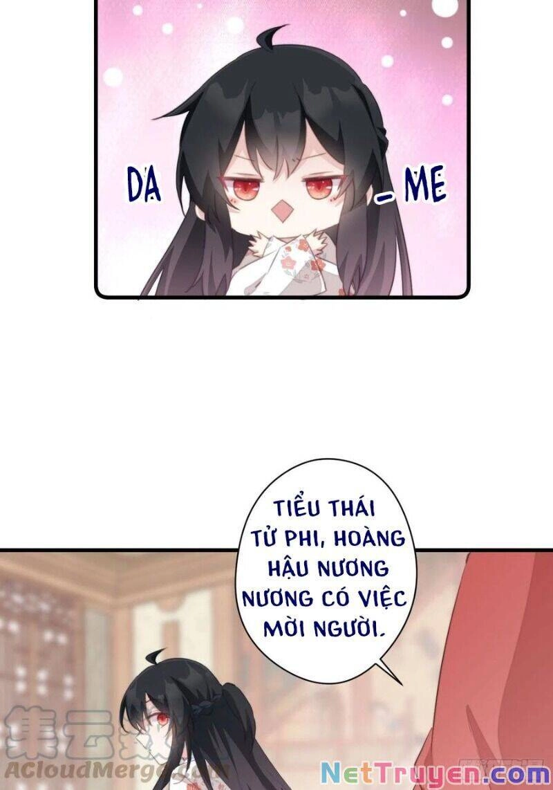 Bạo Sủng Tiểu Manh Phi Chapter 52 - 27