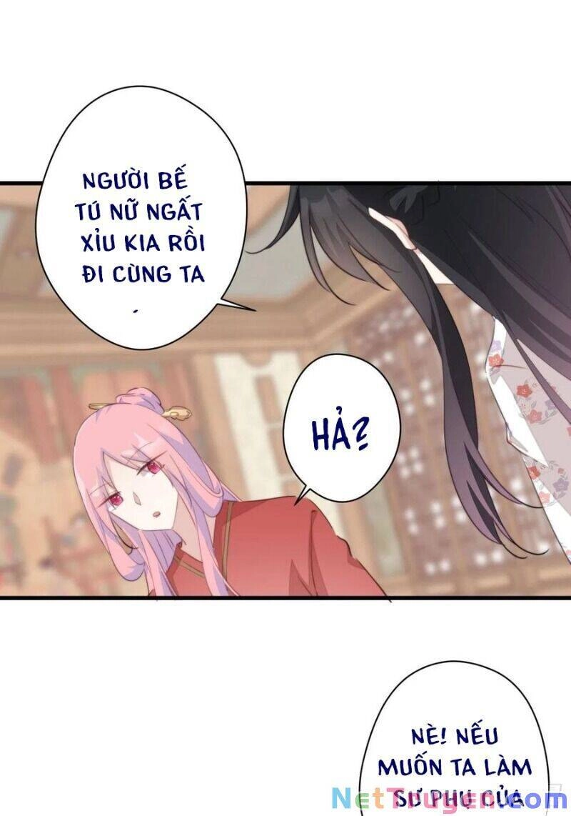 Bạo Sủng Tiểu Manh Phi Chapter 52 - 29