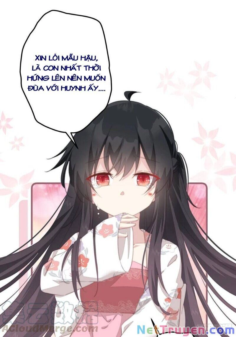 Bạo Sủng Tiểu Manh Phi Chapter 53 - 13