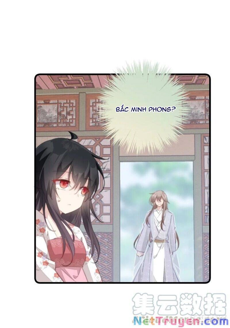 Bạo Sủng Tiểu Manh Phi Chapter 53 - 29