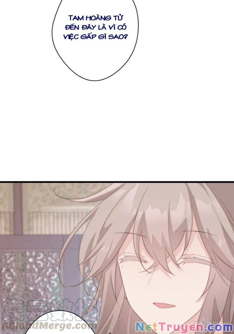 Bạo Sủng Tiểu Manh Phi Chapter 53 - 33