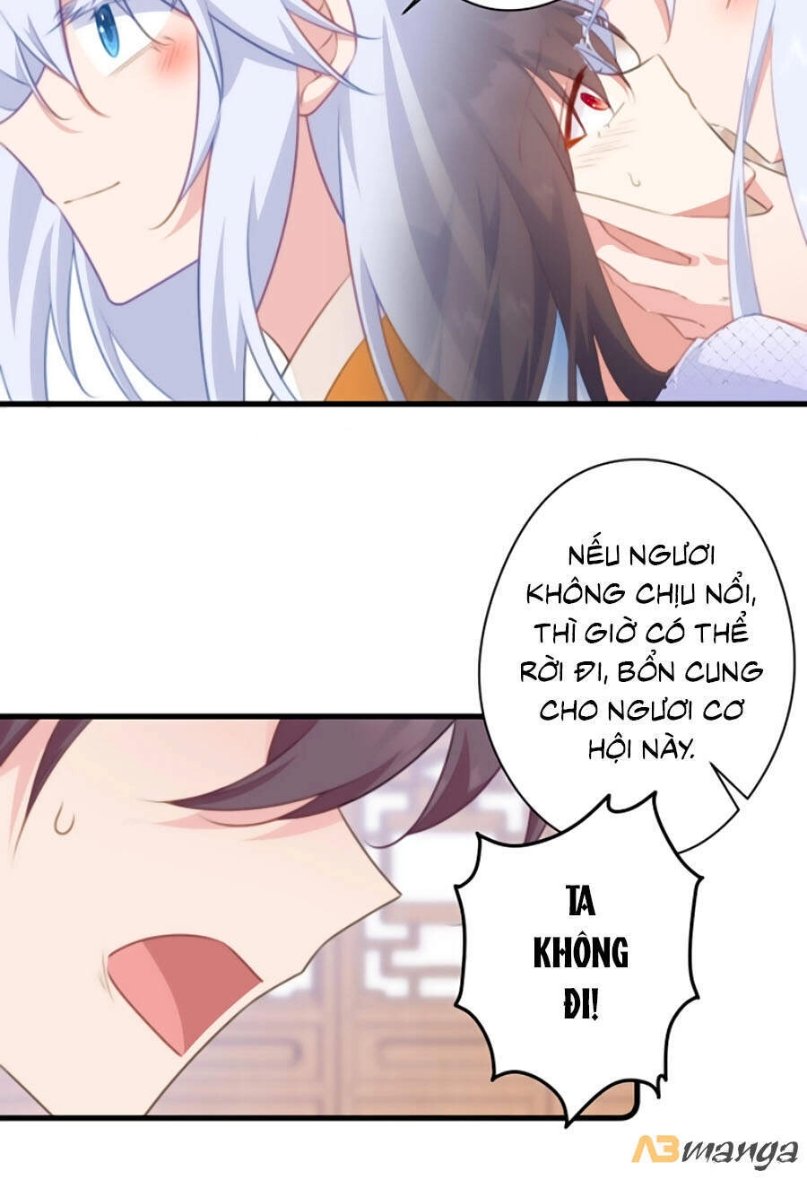 Bạo Sủng Tiểu Manh Phi Chapter 70 - 3