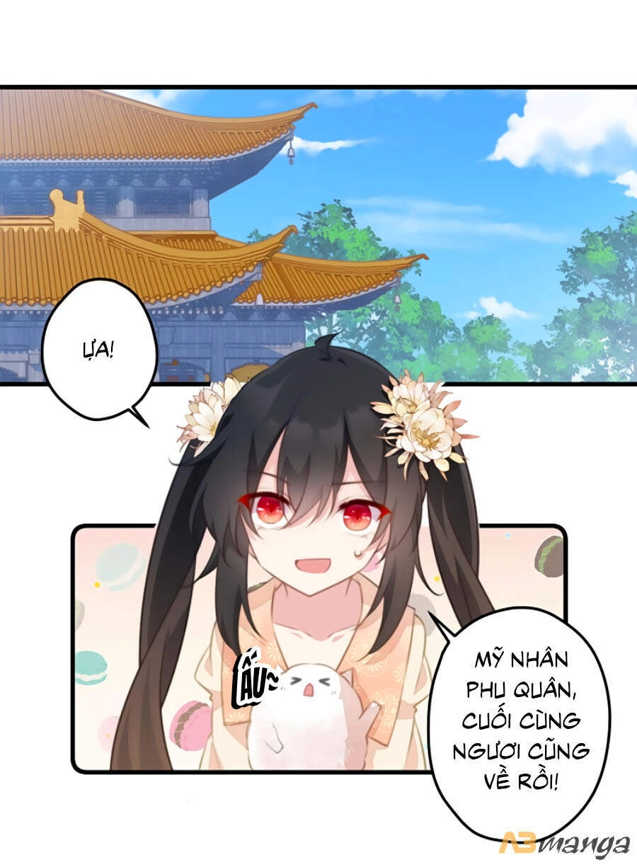 Bạo Sủng Tiểu Manh Phi Chapter 70 - 5