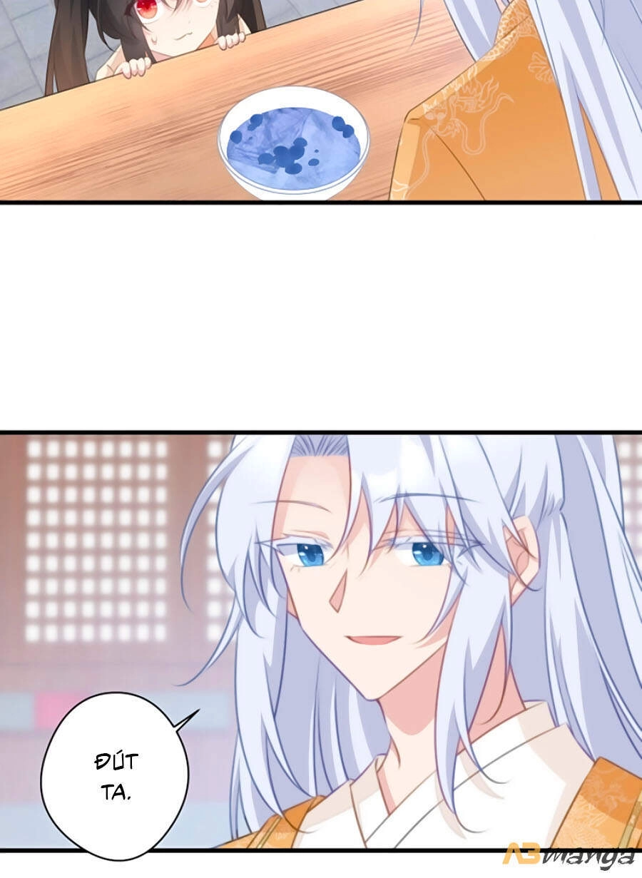 Bạo Sủng Tiểu Manh Phi Chapter 70 - 13